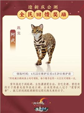 天侣天龙八部私服